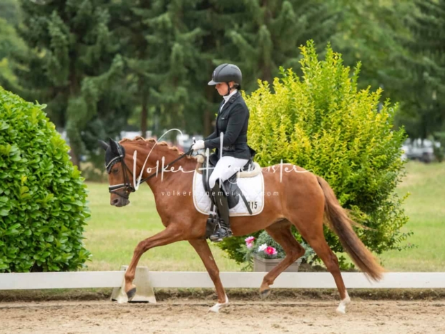ZfdP Bundesturnier Champions 27