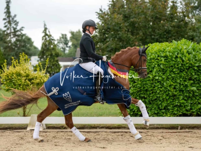 ZfdP Bundesturnier Champions 29