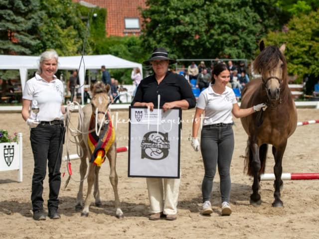 ZfdP Landesschau Fohlenchampionat 21