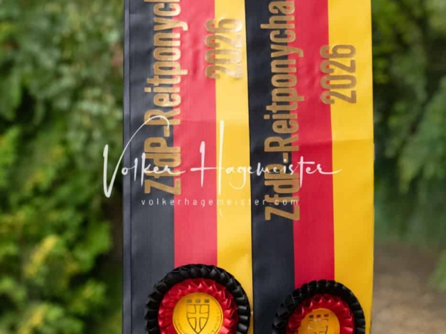 ZfdP Bundesturnier Champions 7