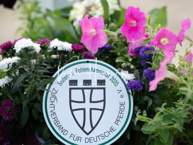 ZfdP Landesschau Fohlenchampionat 10