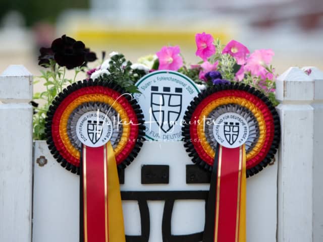 ZfdP Landesschau Fohlenchampionat 17
