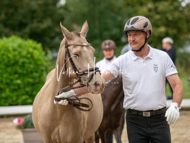 ZfdP Landesschau Fohlenchampionat 25