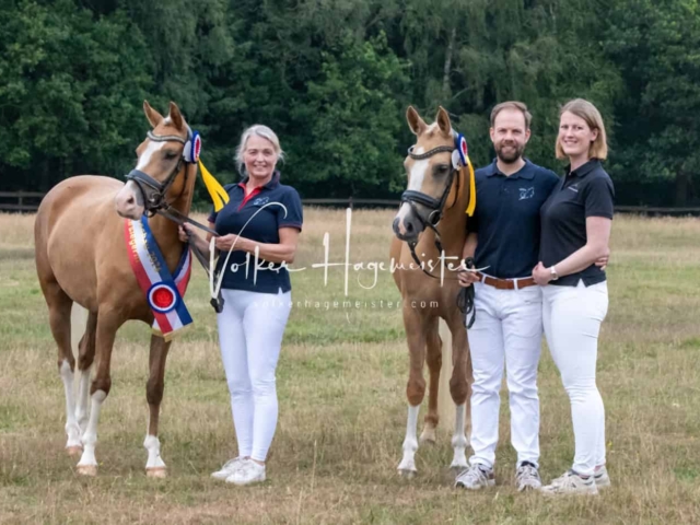 PSB Eliteschau Siegerstuten 4