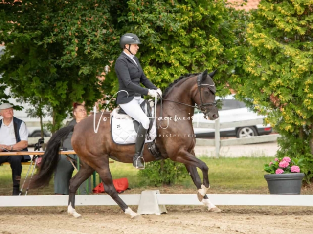 ZfdP Bundesturnier Champions 14