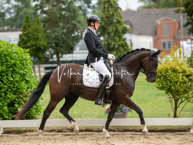 ZfdP Bundesturnier Champions 16
