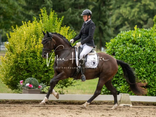 ZfdP Bundesturnier Champions 17