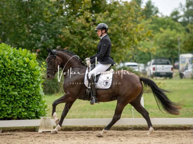 ZfdP Bundesturnier Champions 18