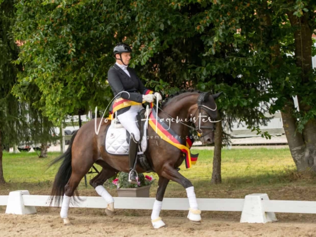 ZfdP Bundesturnier Champions 19