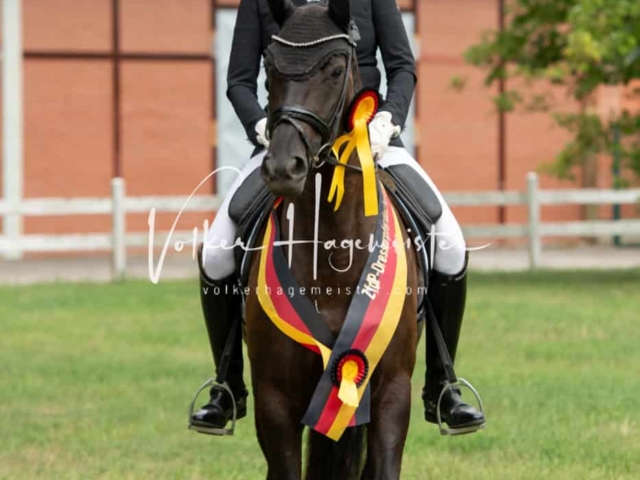 ZfdP Bundesturnier Champions 21