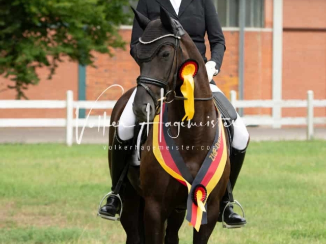 ZfdP Bundesturnier Champions 22