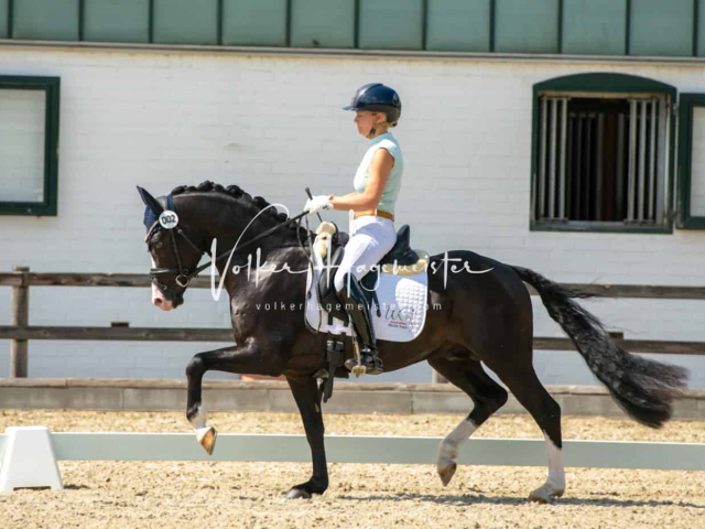 Impressionen PSB BuCha Quali 2