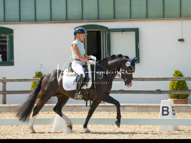 Impressionen PSB BuCha Quali 5