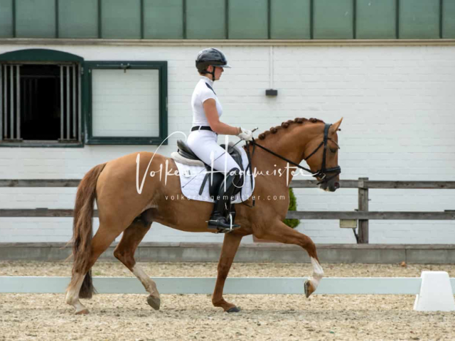 Impressionen PSB BuCha Quali 15