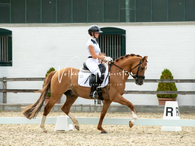 Impressionen PSB BuCha Quali 16
