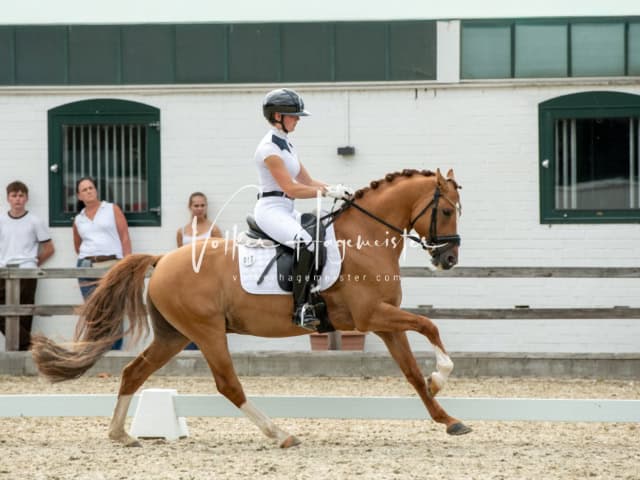 Impressionen PSB BuCha Quali 17