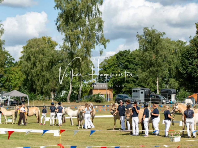 PSB Fohlenchampionat ohne Sieger 5