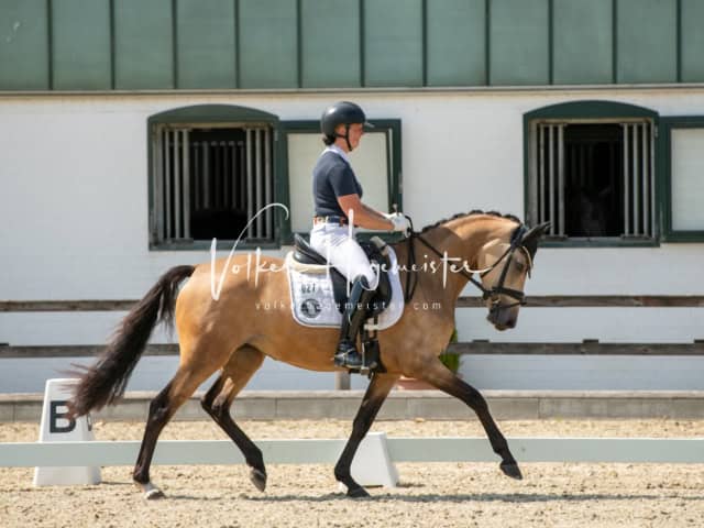 Impressionen PSB BuCha Quali 18