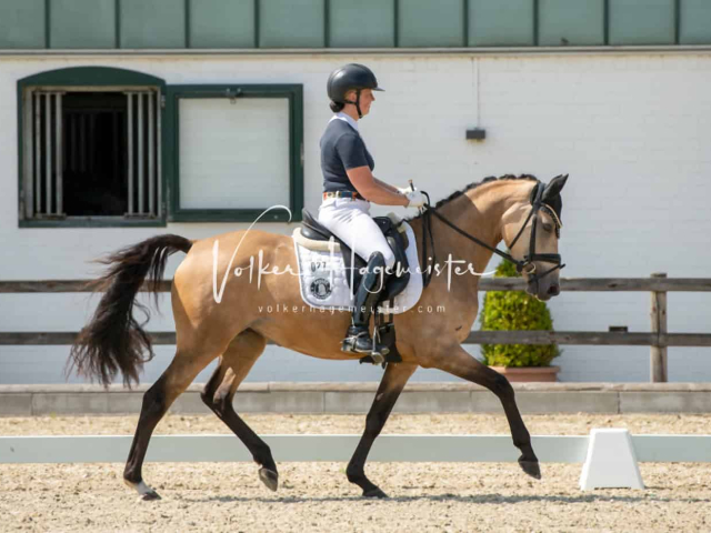 Impressionen PSB BuCha Quali 19