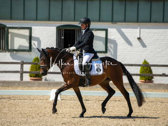 Impressionen PSB BuCha Quali 20