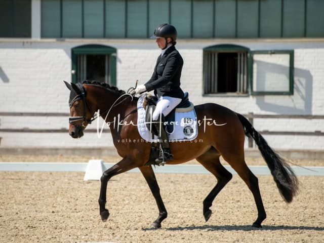 Impressionen PSB BuCha Quali 22