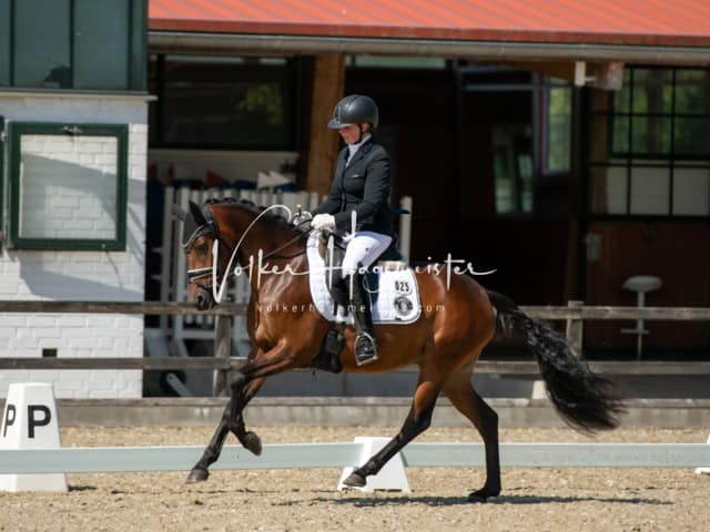 Impressionen PSB BuCha Quali 23