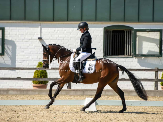 Impressionen PSB BuCha Quali 24