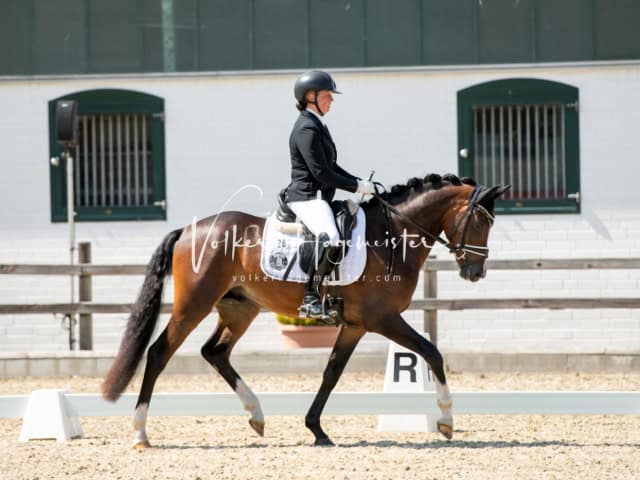 Impressionen PSB BuCha Quali 26