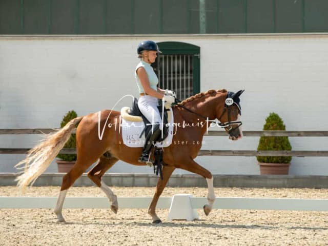 Impressionen PSB BuCha Quali 5
