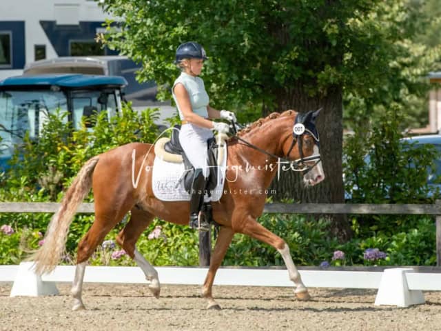 Impressionen PSB BuCha Quali 6