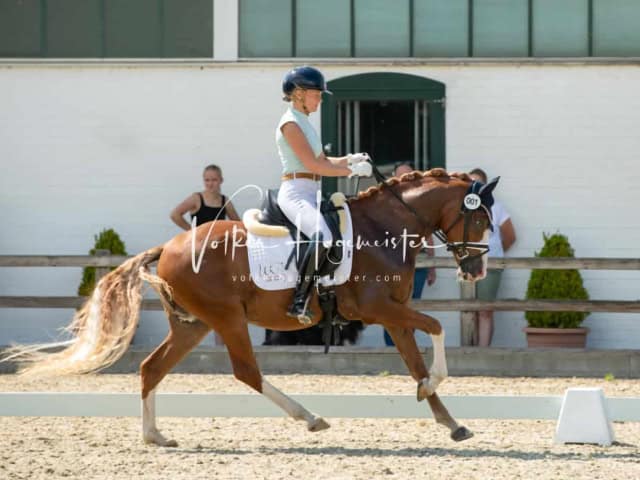 Impressionen PSB BuCha Quali 7