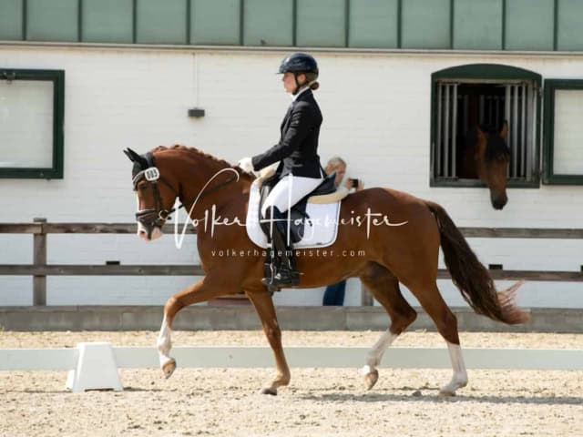 Impressionen PSB BuCha Quali 9