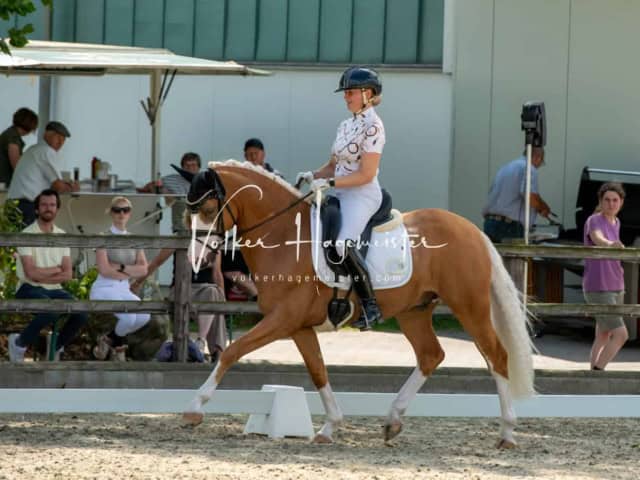 Impressionen PSB BuCha Quali 10