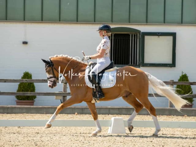 Impressionen PSB BuCha Quali 11