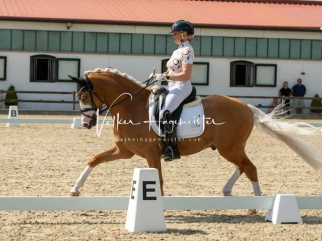 Impressionen PSB BuCha Quali 12