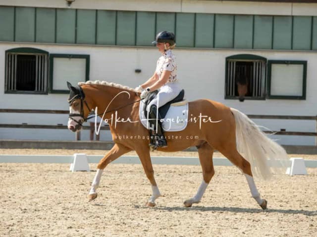 Impressionen PSB BuCha Quali 13