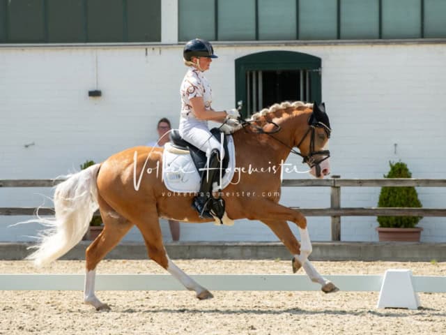 Impressionen PSB BuCha Quali 14