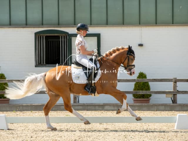 Impressionen PSB BuCha Quali 15