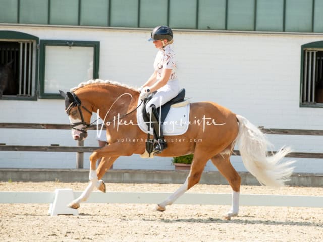 Impressionen PSB BuCha Quali 16