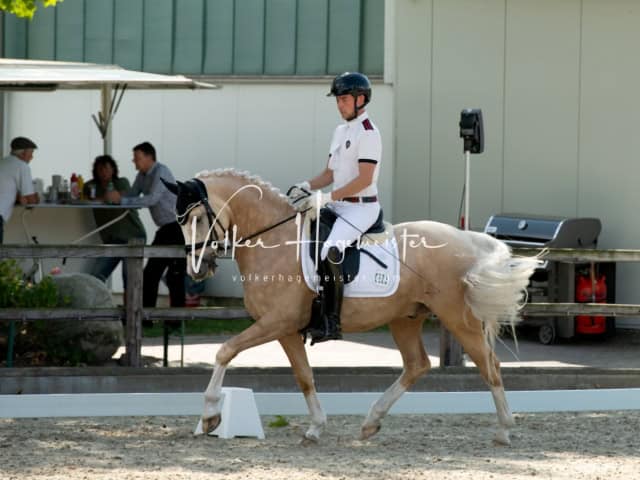 Impressionen PSB BuCha Quali 18