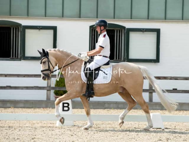 Impressionen PSB BuCha Quali 19