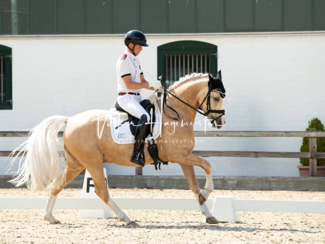Impressionen PSB BuCha Quali 21