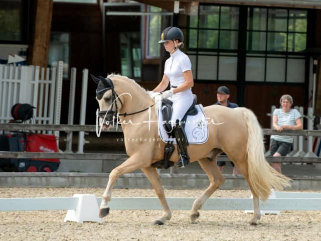 Impressionen PSB BuCha Quali 22