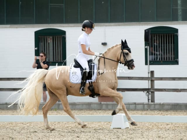 Impressionen PSB BuCha Quali 24