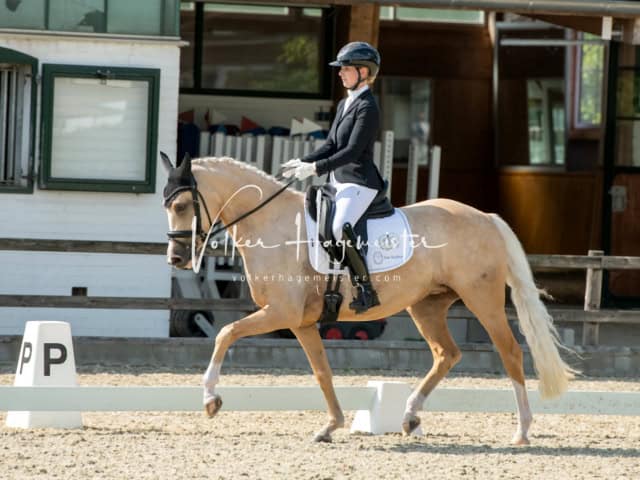 Impressionen PSB BuCha Quali 26