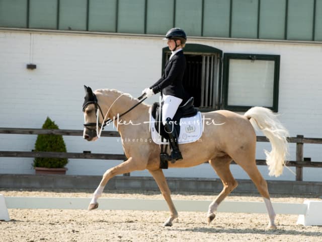 Impressionen PSB BuCha Quali 27