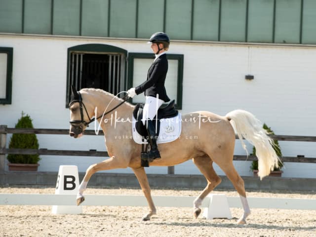 Impressionen PSB BuCha Quali 28