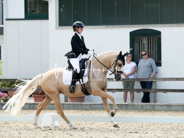 Impressionen PSB BuCha Quali 29