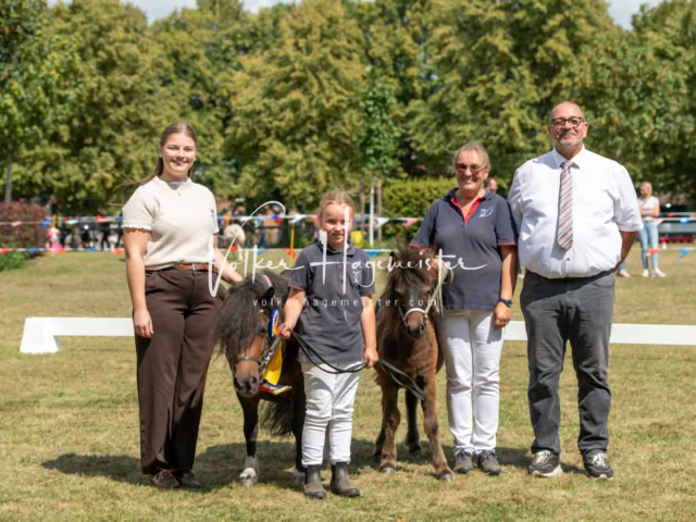 PSB Fohlenchampionat Siegerfohlen 14
