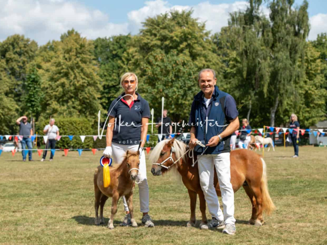 PSB Fohlenchampionat Siegerfohlen 20
